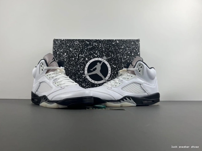 Reps LUCY 5 AIR DD0587-110 'WHITE JORDAN RETRO BLACK' 0807